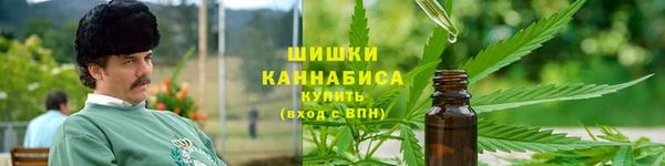 тгк Корсаков