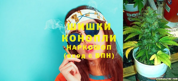 стаф Костерёво
