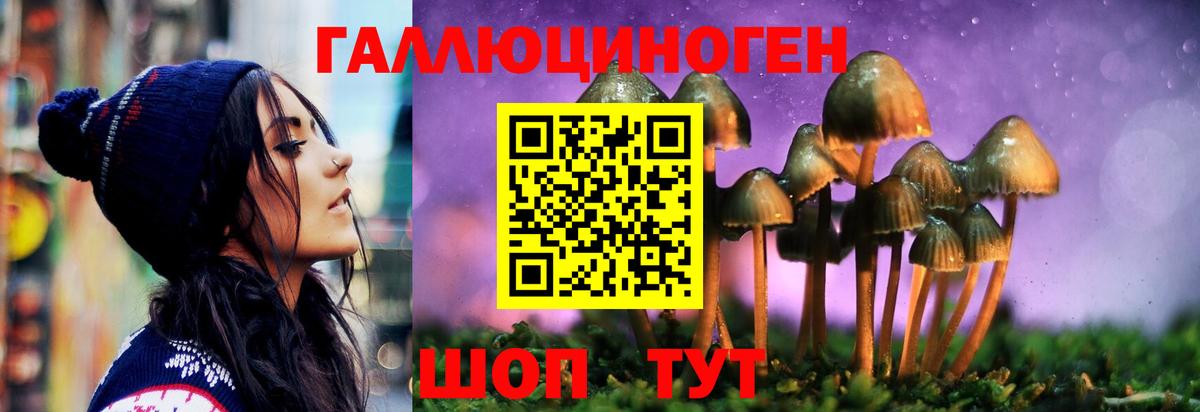 Псилоцибиновые грибы GOLDEN TEACHER  Вход с VPN  Липецк 